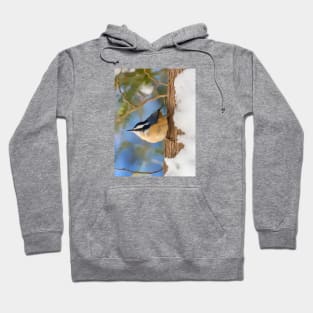 Red Breasted Nuthatch Guoche Digital Painting Hoodie